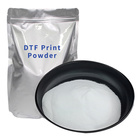 DTF粉 White Hot Melt Adhesive Digital DTF Transfer Powder