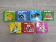 英文 识字卡片 外贸 数字 字母 动物