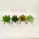 仿真花假花盆景塑料盆塑料绿植叶装饰品