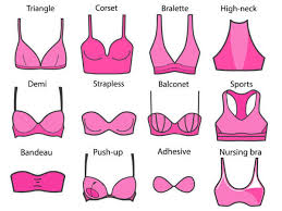 The brassiere glossary every girl needs to read! - Times of India