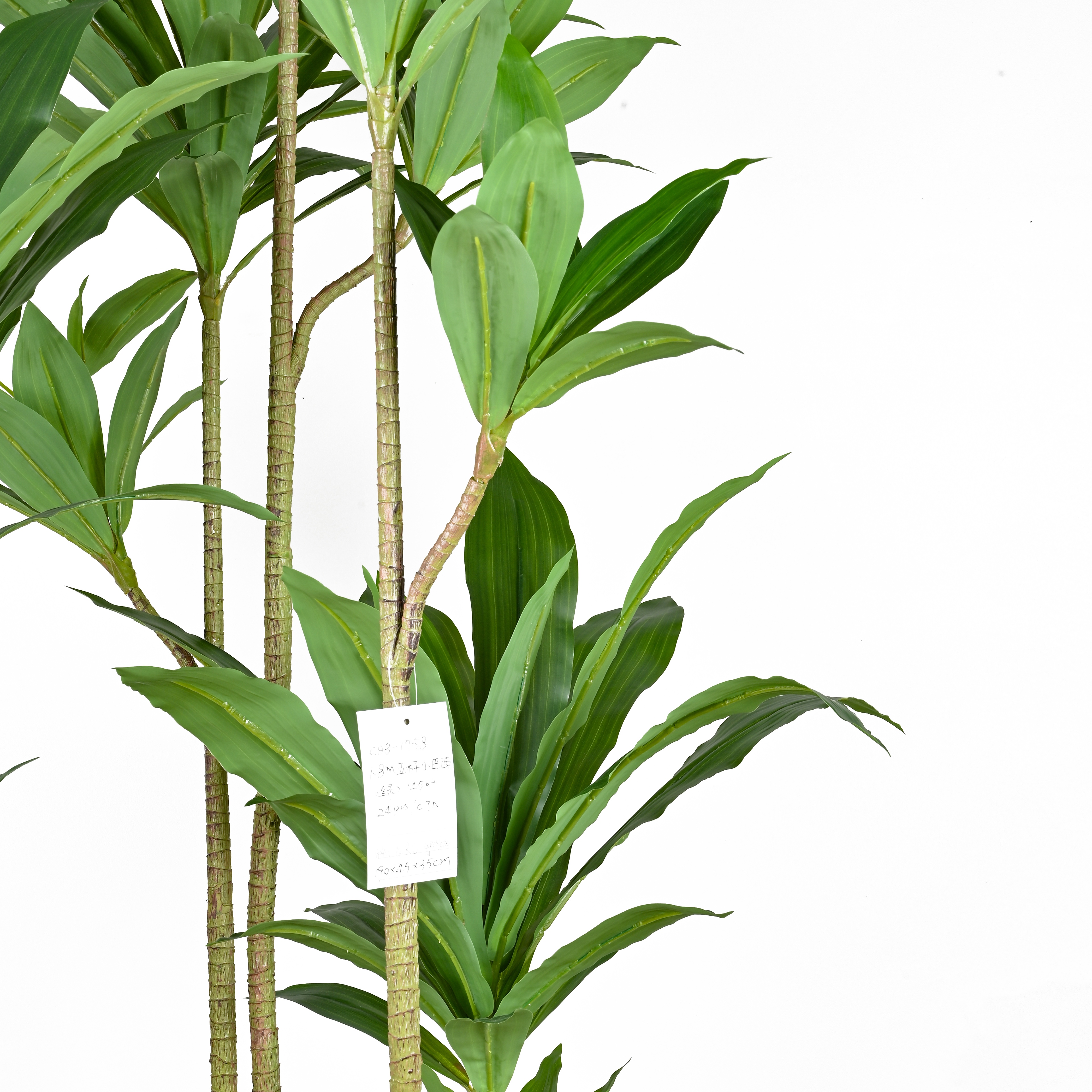 塑料仿真植物/仿真绿植/花盆盆栽/仿真盆栽/绿植盆景白底实物图