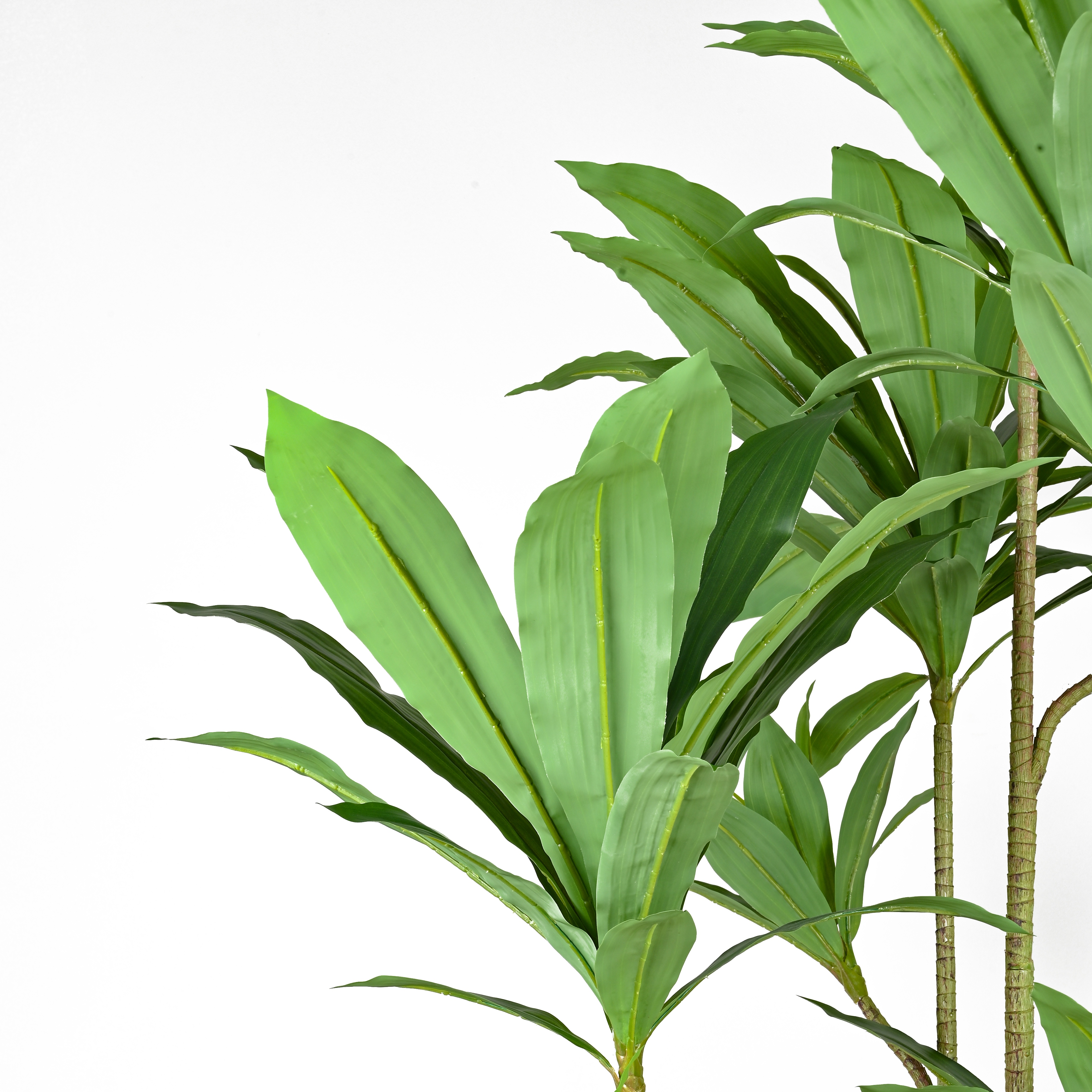 塑料仿真植物/仿真绿植/花盆盆栽/仿真盆栽/绿植盆景细节图