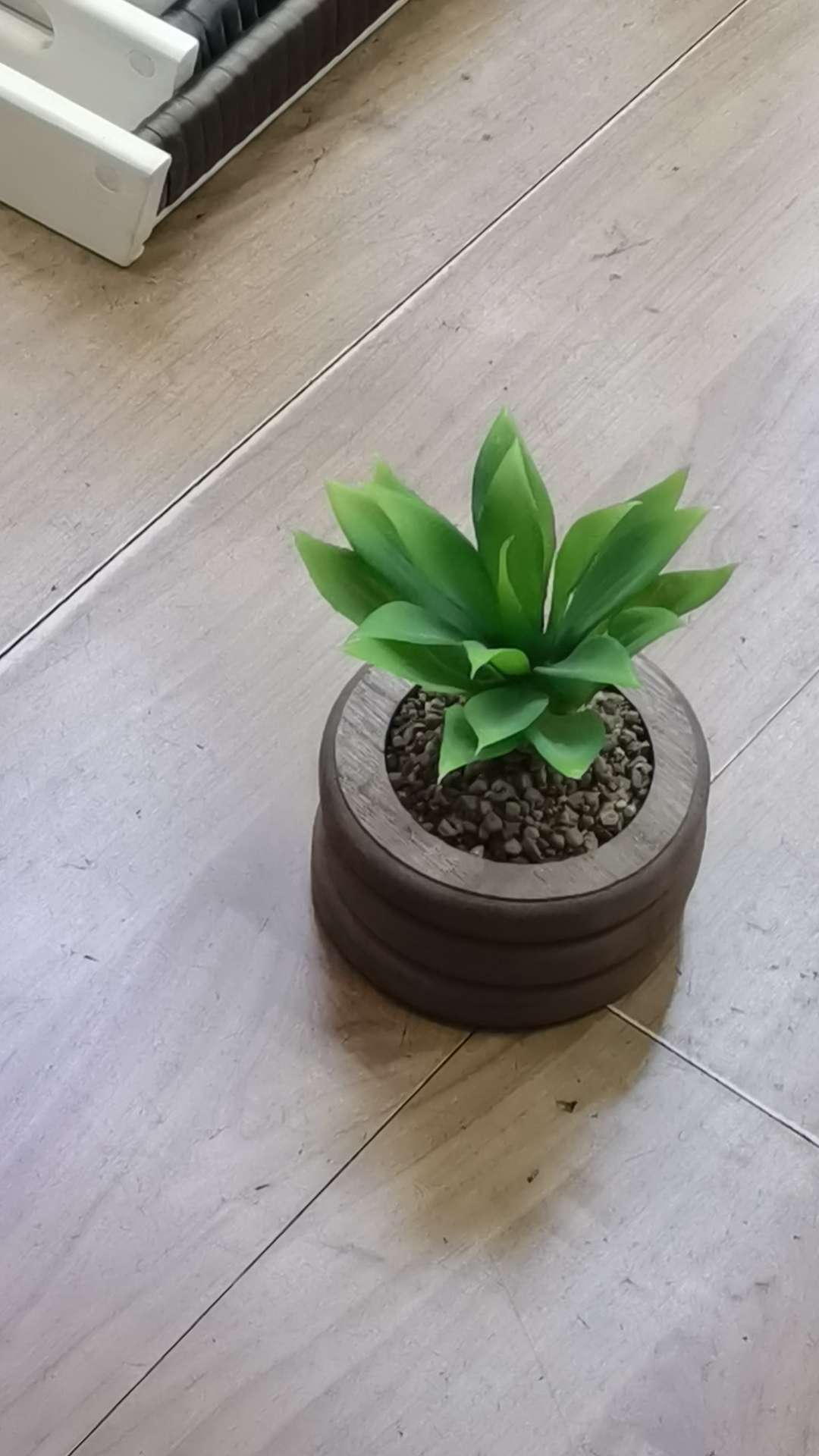 植物小摆件