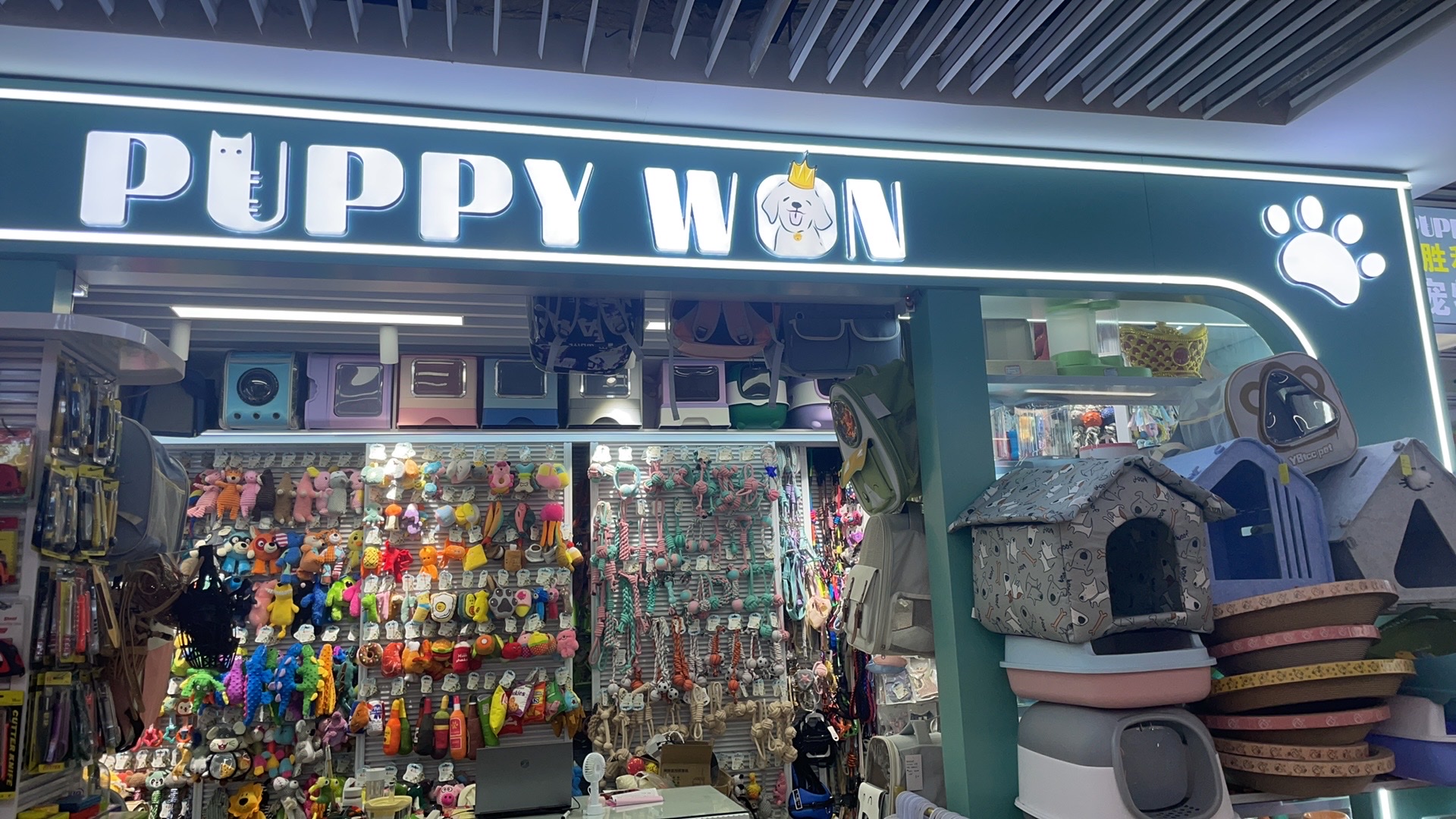 Puppy won describe pic - 1