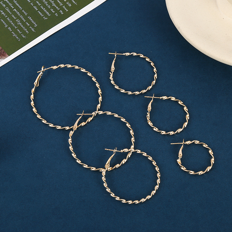 Temperament Hoop Earrings 2024 New Fashionable Summer Style Cold Wind Design Sense Earrings Hoop Female Earrings details Picture