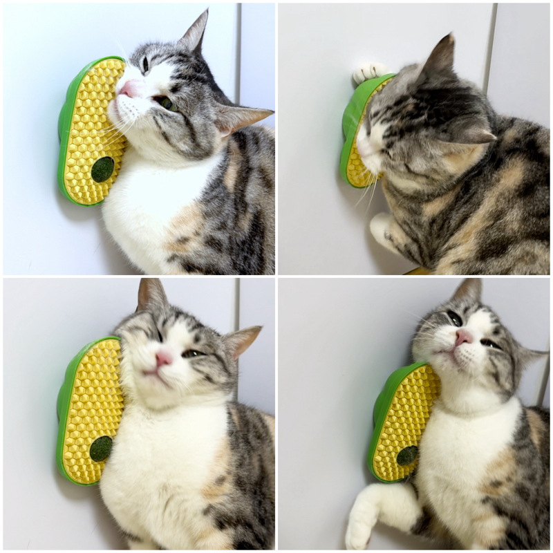 New pet catnip toys, cat fur rubs, self-indulgence catnip ball toys, scratch-scratching combs, pet supplies details Picture