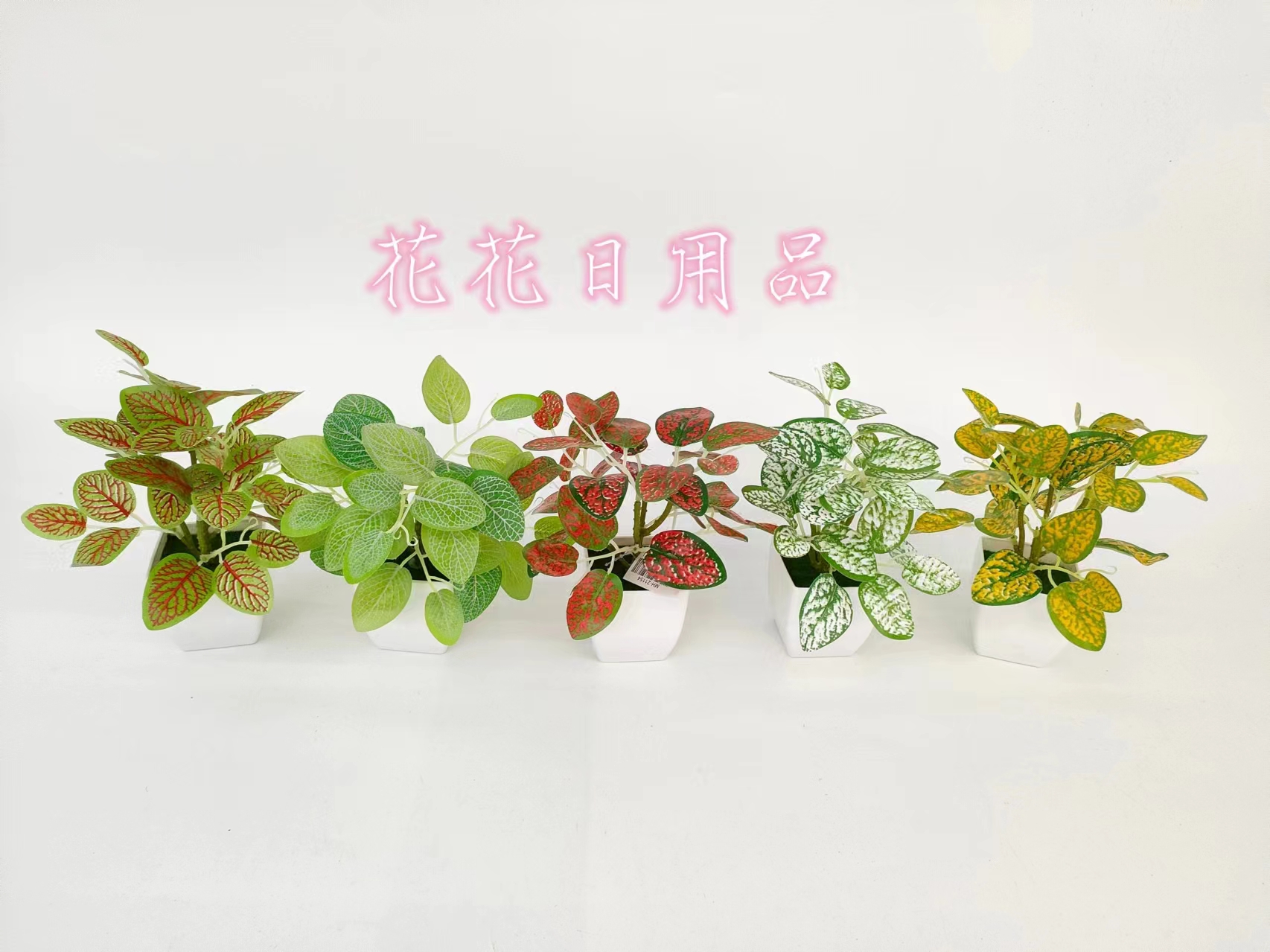 仿真花假花盆景塑料盆彩色叶装饰摆件品