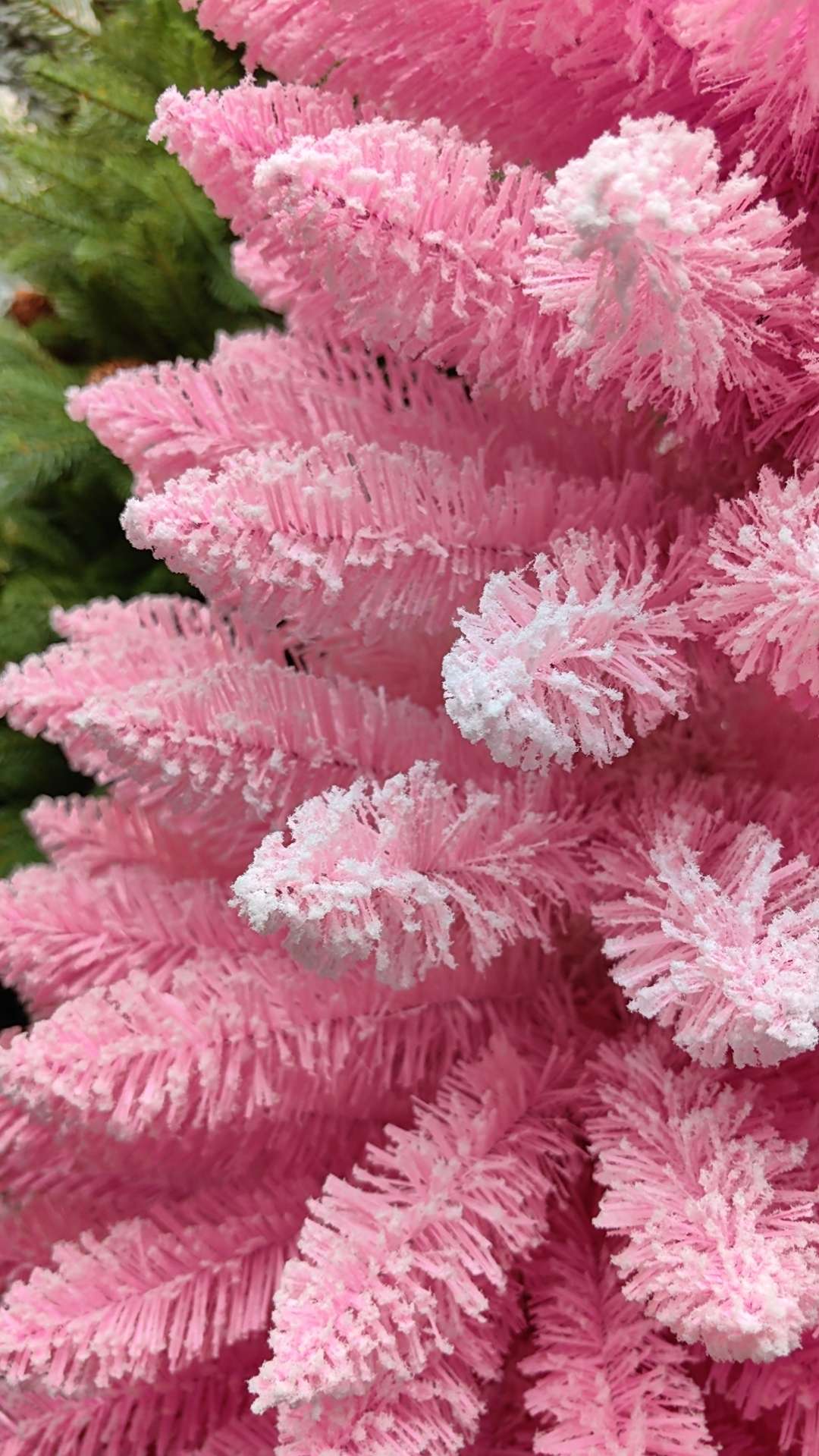 Gold powder Christmas supplies, office culture, festival decorations, Christmas gifts, bows, Christmas decorations, unique designs, essential items for festival outfits, Christmas details Picture