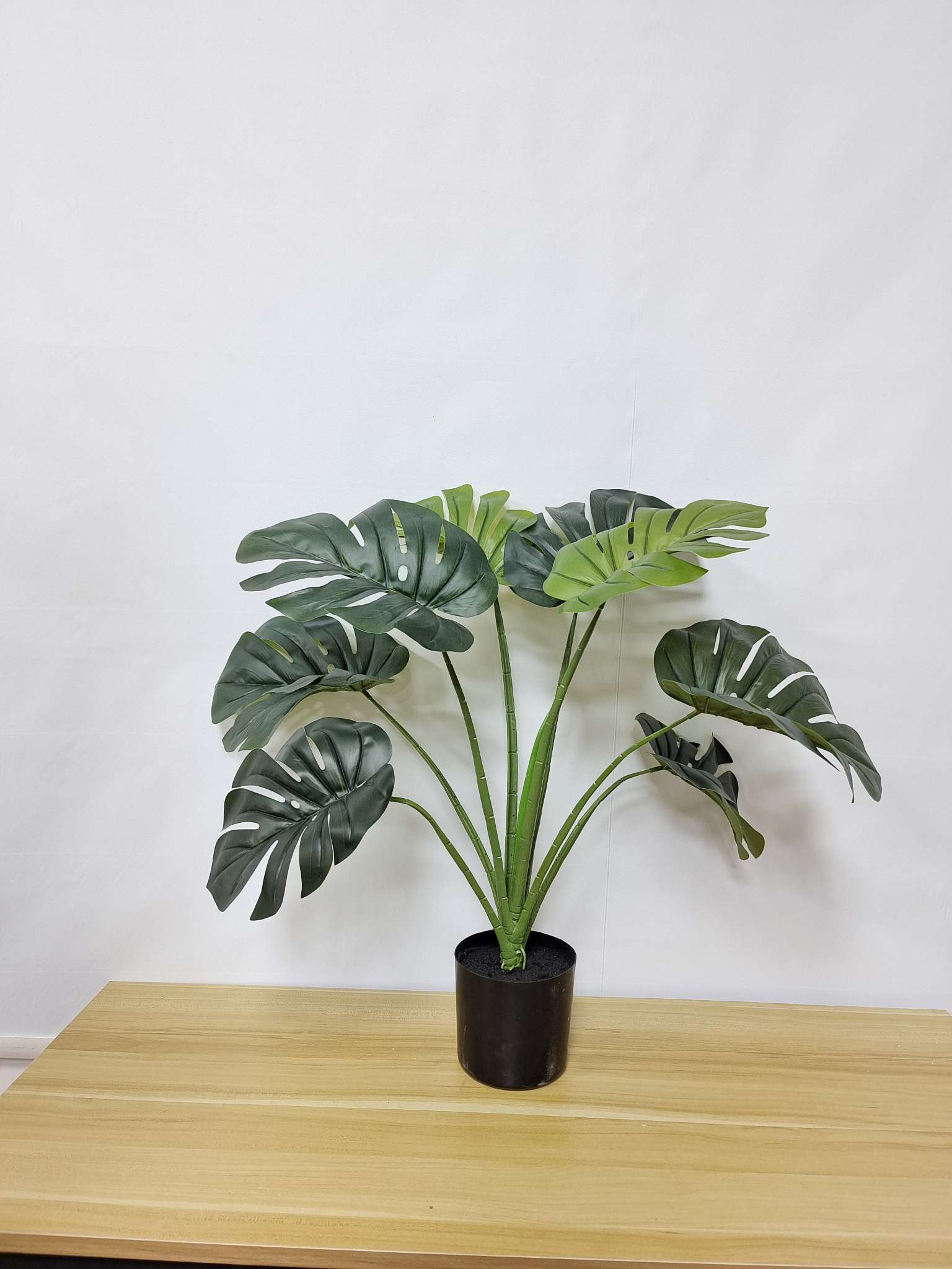 60cm 龟背 办公室文化绿植装饰  花草树木景观 创意绿色植物摆设