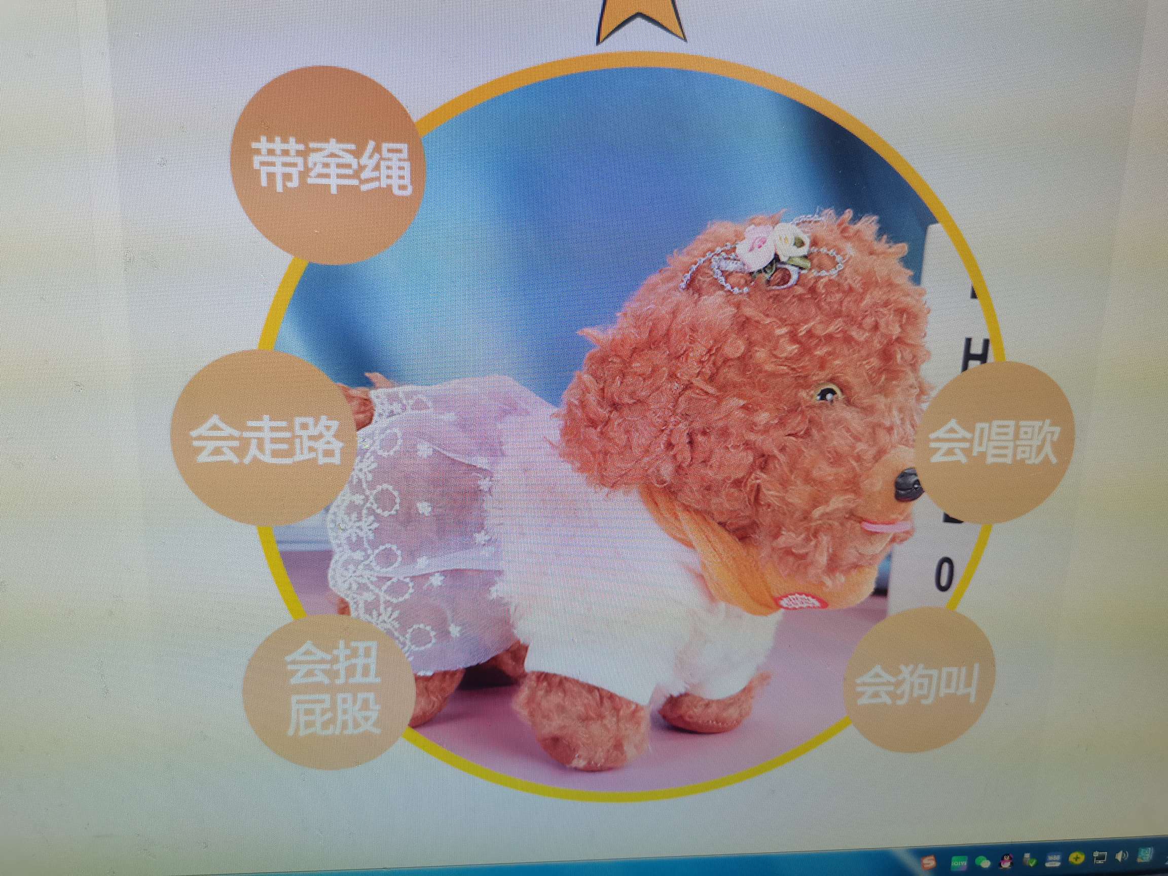 Electric Plush Children's Toy Dogs Will Sing And Twist Their Hips To Walk On The Street Stalls Selling Factory Direct Sales Application Scenario