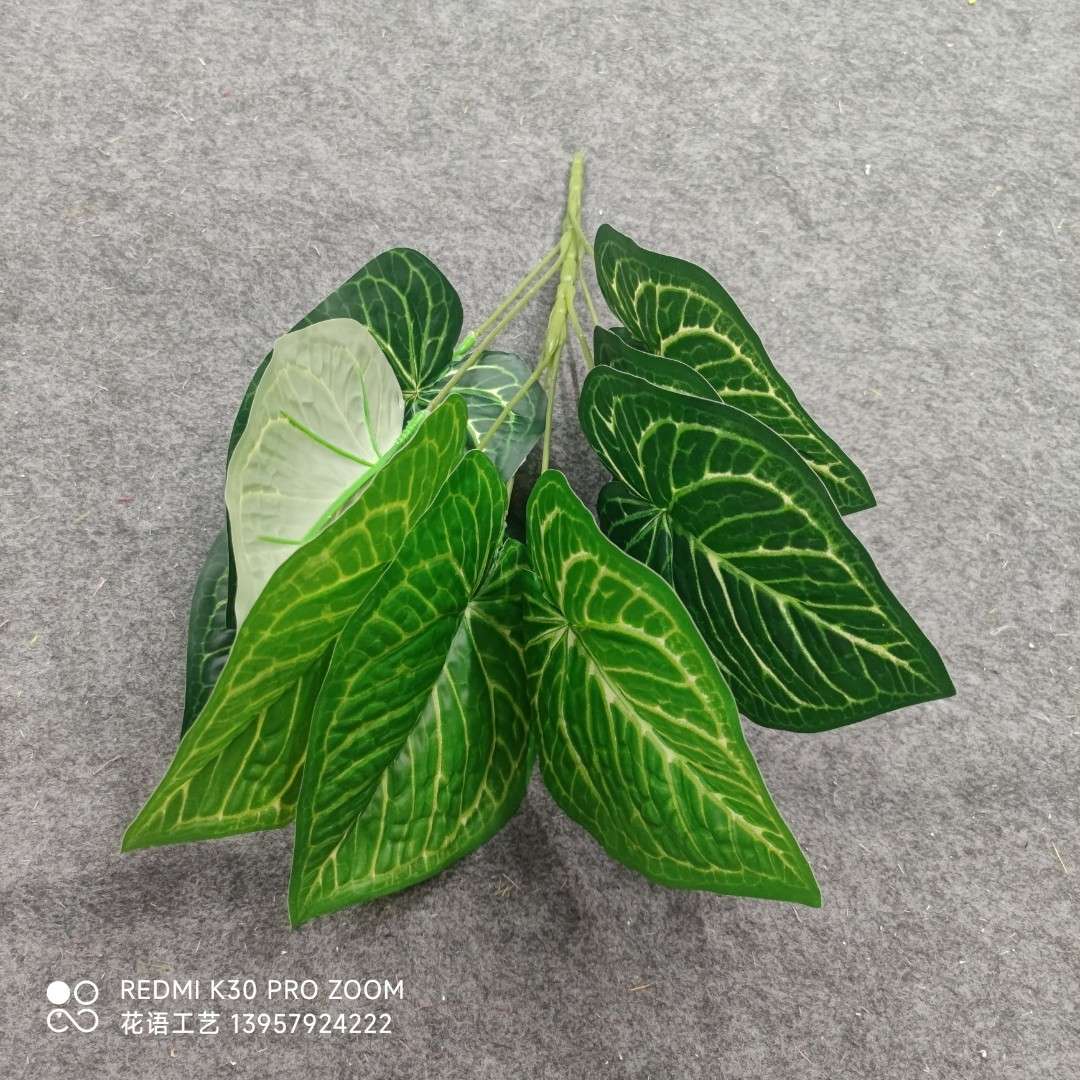 Simulated money tree leaves, branches, artificial leaves, plastic green leaves, green plant landscaping, olive leaves Application Scenario