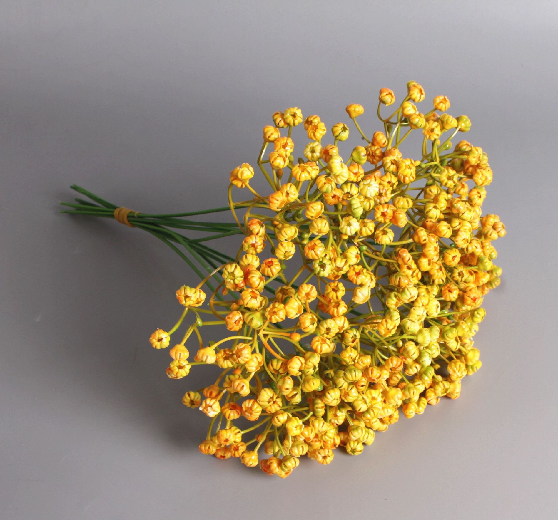Factory Direct Wholesale Simulation Plastic Single Star Indoor And Outdoor Decoration Wedding Decoration Diy Bride Bouquet Shooting Props Application Scenario