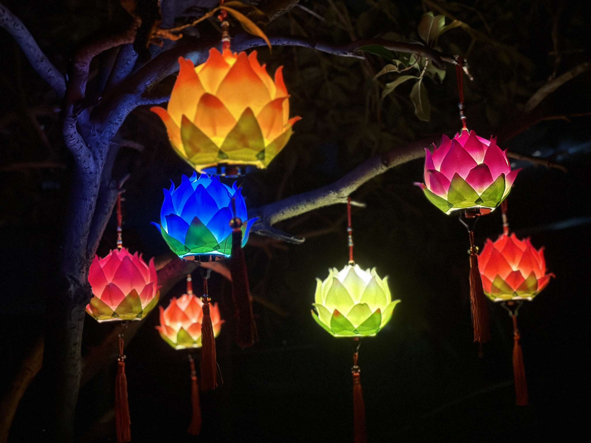 莲花灯绸布花灯音乐中秋国庆元宵手提古典儿童灯笼详情图6