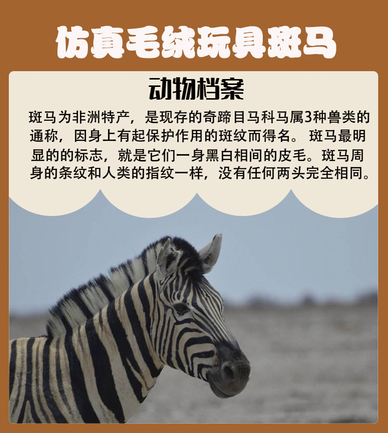 斑马仿真毛绒玩具孔雀公仔可爱玩偶生日礼物居家车载摆件秀绒玩具批发详情1