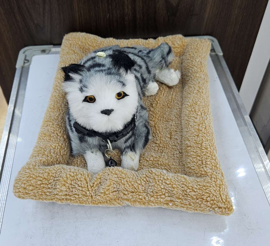 仿真动物工艺品 仿真猫