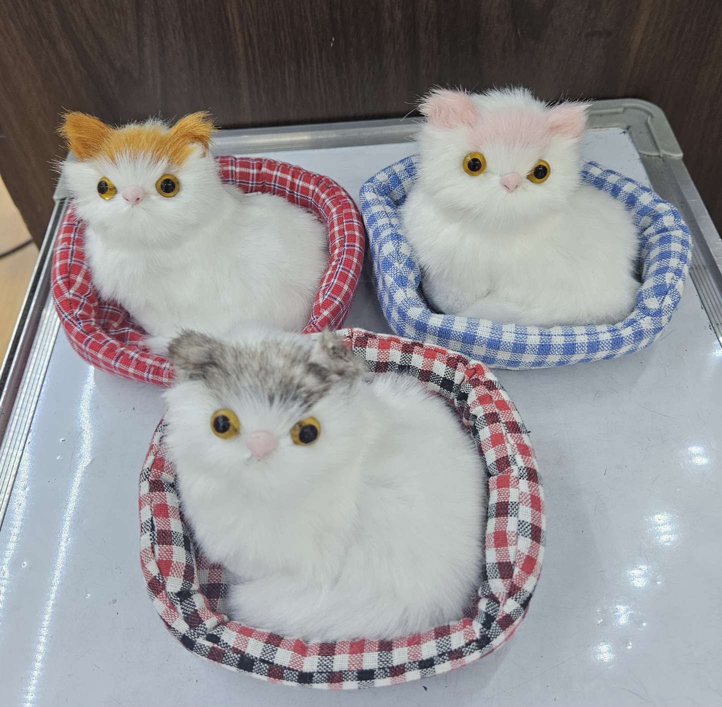 仿真动物系列逼真仿真猫