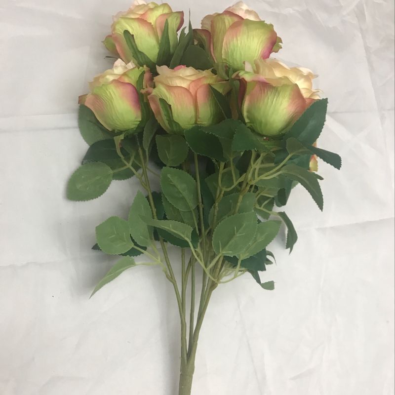 7 hydrangeas 11111