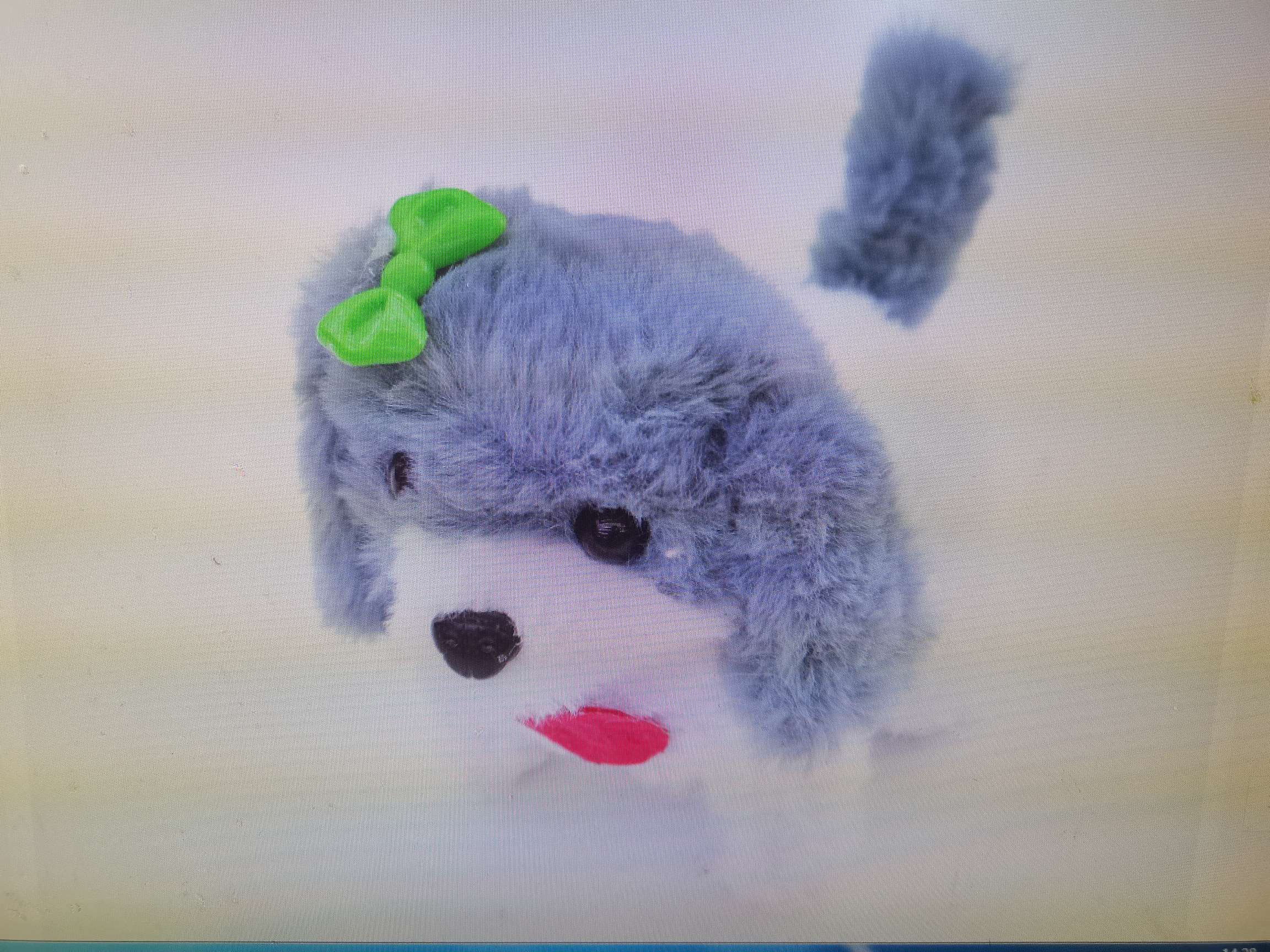 电动儿童玩具电动狗狗前进倒退摇尾巴毛绒玩具地摊热卖厂家直销详情图3