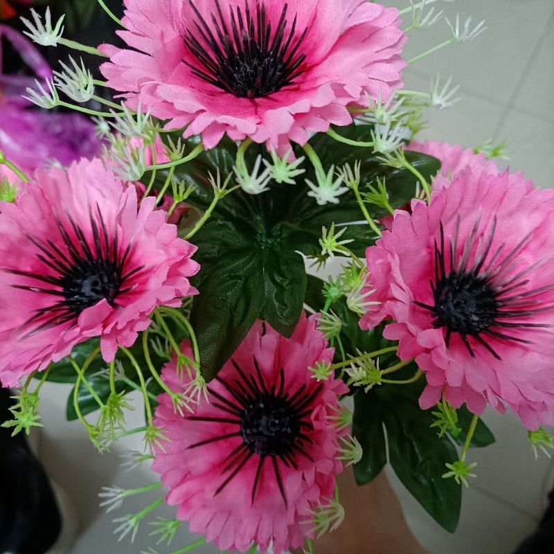 10头无纺布牡丹124578111