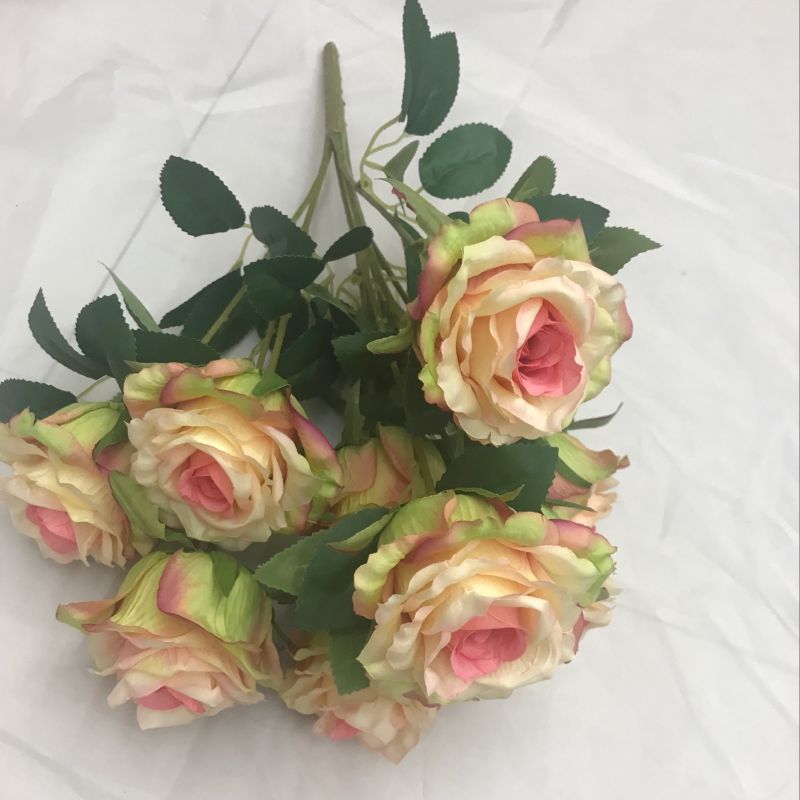 7 Hydrangeas 1