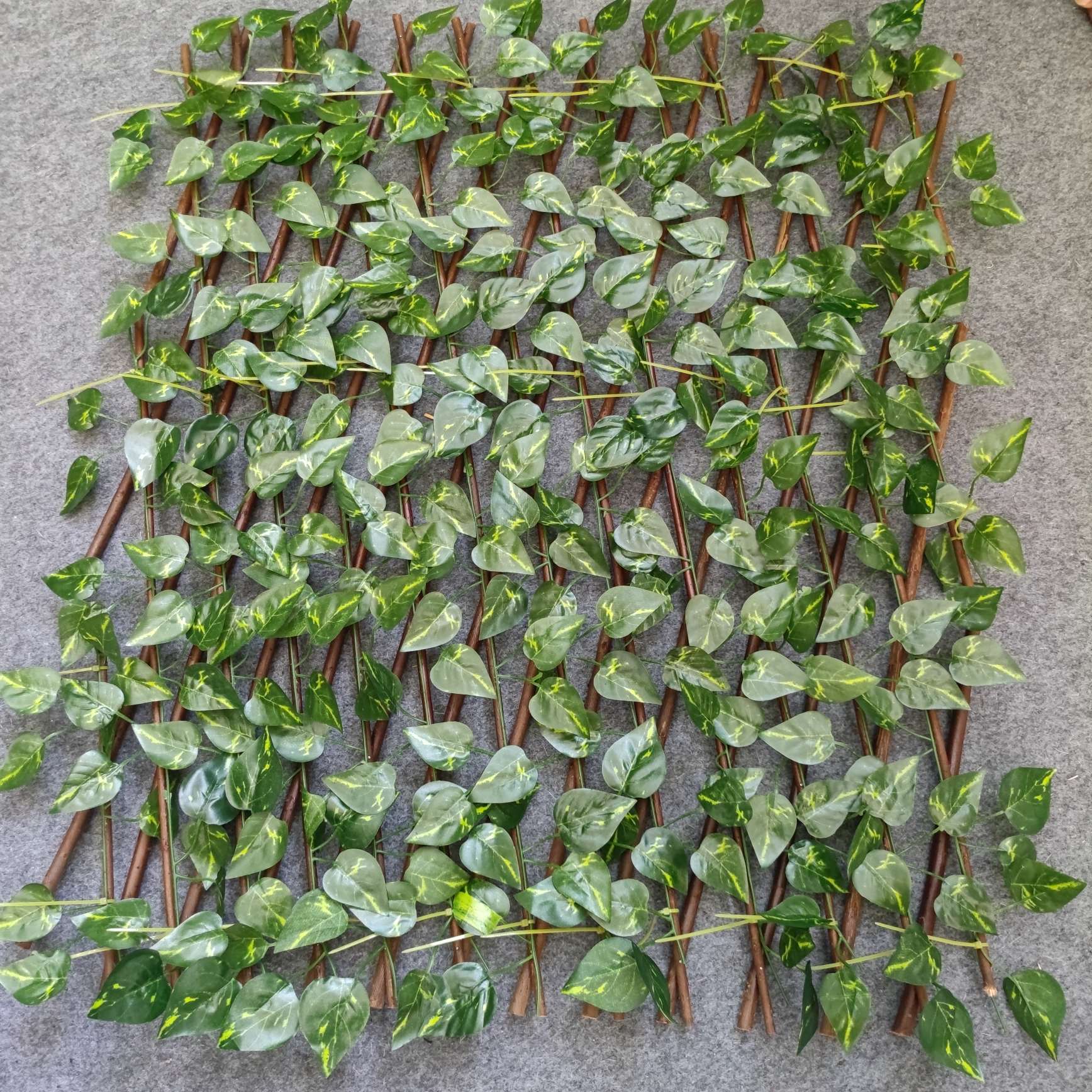 The iron crabapple seedlings, tray seedlings, potted flowers and Euphorbia milii bloom all year round. Office green plants purify the air detail image 10