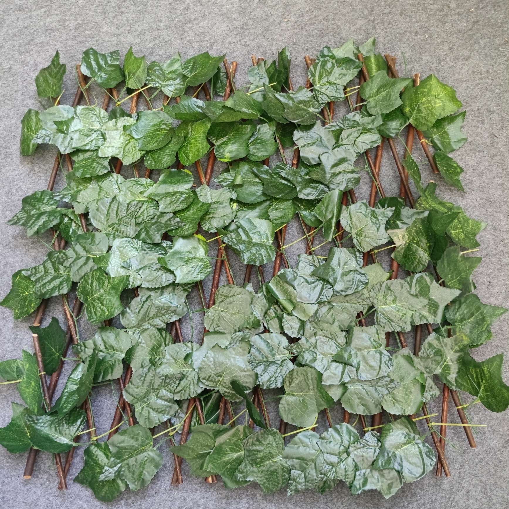 The iron crabapple seedlings, tray seedlings, potted flowers and Euphorbia milii bloom all year round. Office green plants purify the air detail image 12