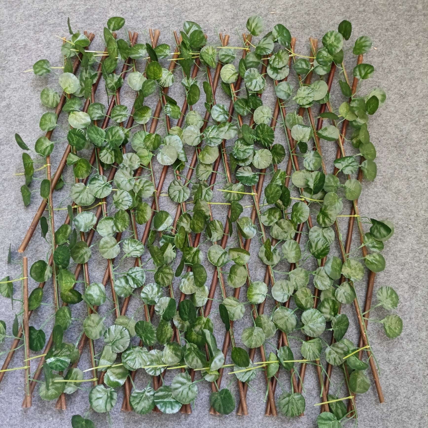 The iron crabapple seedlings, tray seedlings, potted flowers and Euphorbia milii bloom all year round. Office green plants purify the air detail image 8