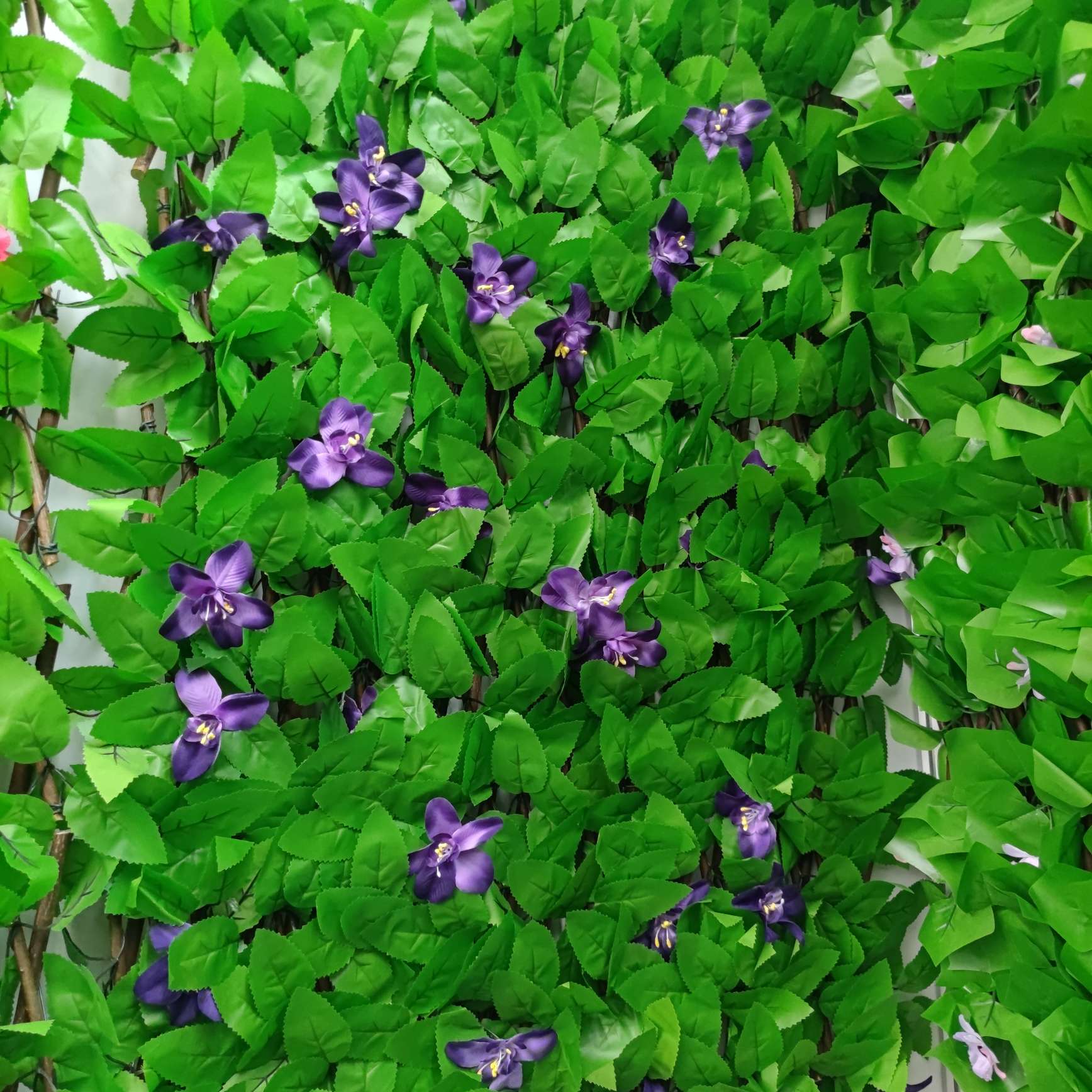 The iron crabapple seedlings, tray seedlings, potted flowers and Euphorbia milii bloom all year round. Office green plants purify the air Application Scenario