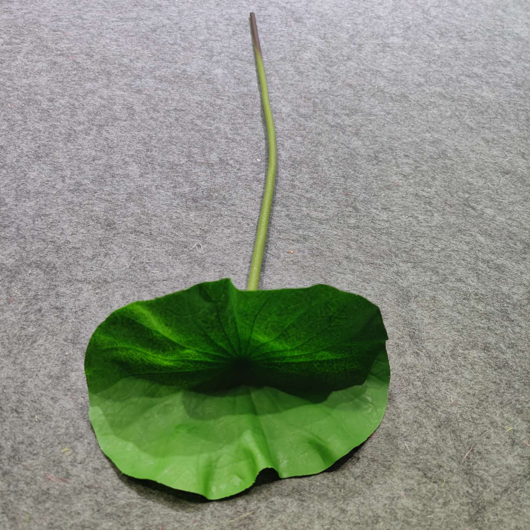 Single-piece artificial lotus flower, lotus leaf and lotus leaf bouquet, small artificial plastic flower, lotus flower and lotus leaf integrated decorative bouquet detail image 4