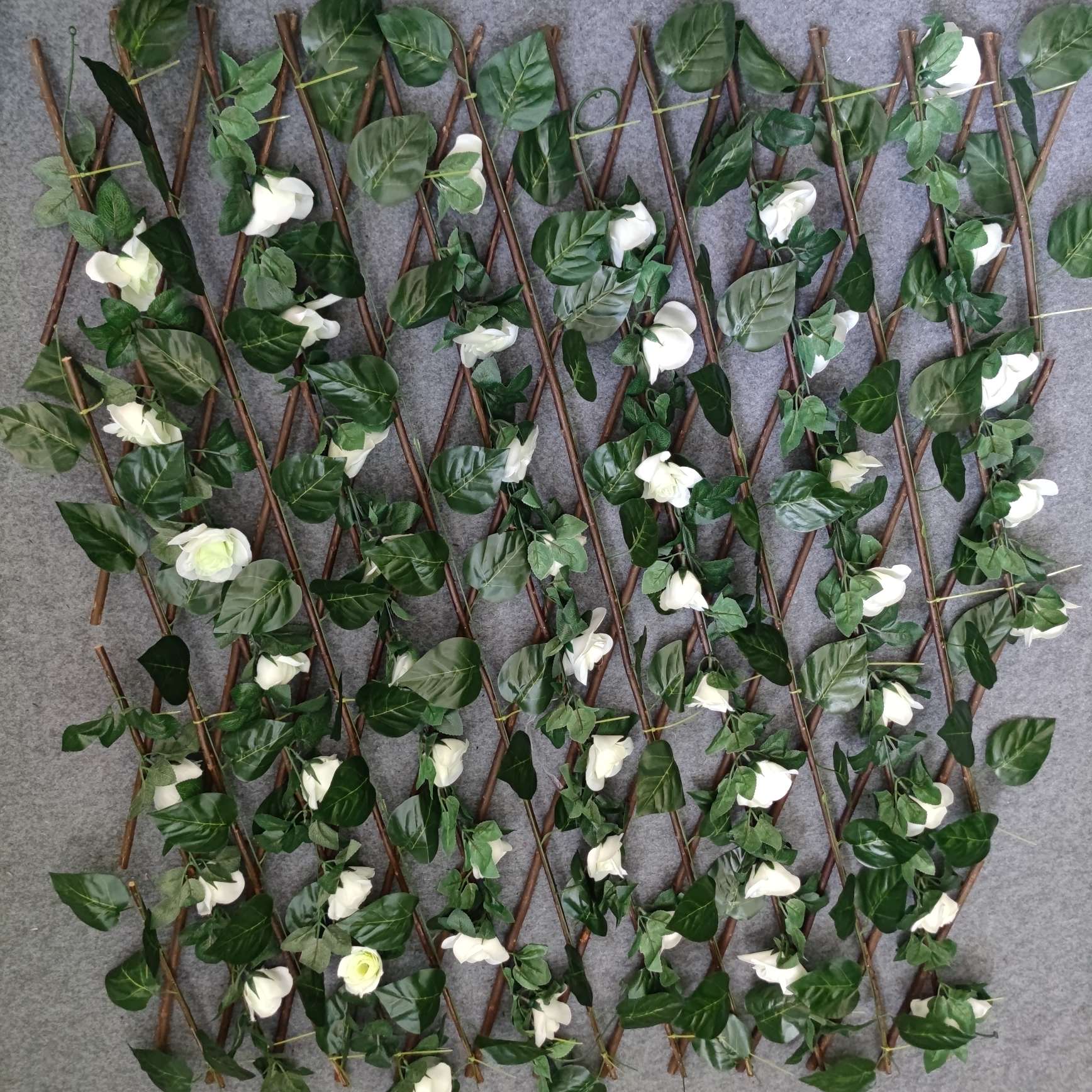 The iron crabapple seedlings, tray seedlings, potted flowers and Euphorbia milii bloom all year round. Office green plants purify the air details Picture