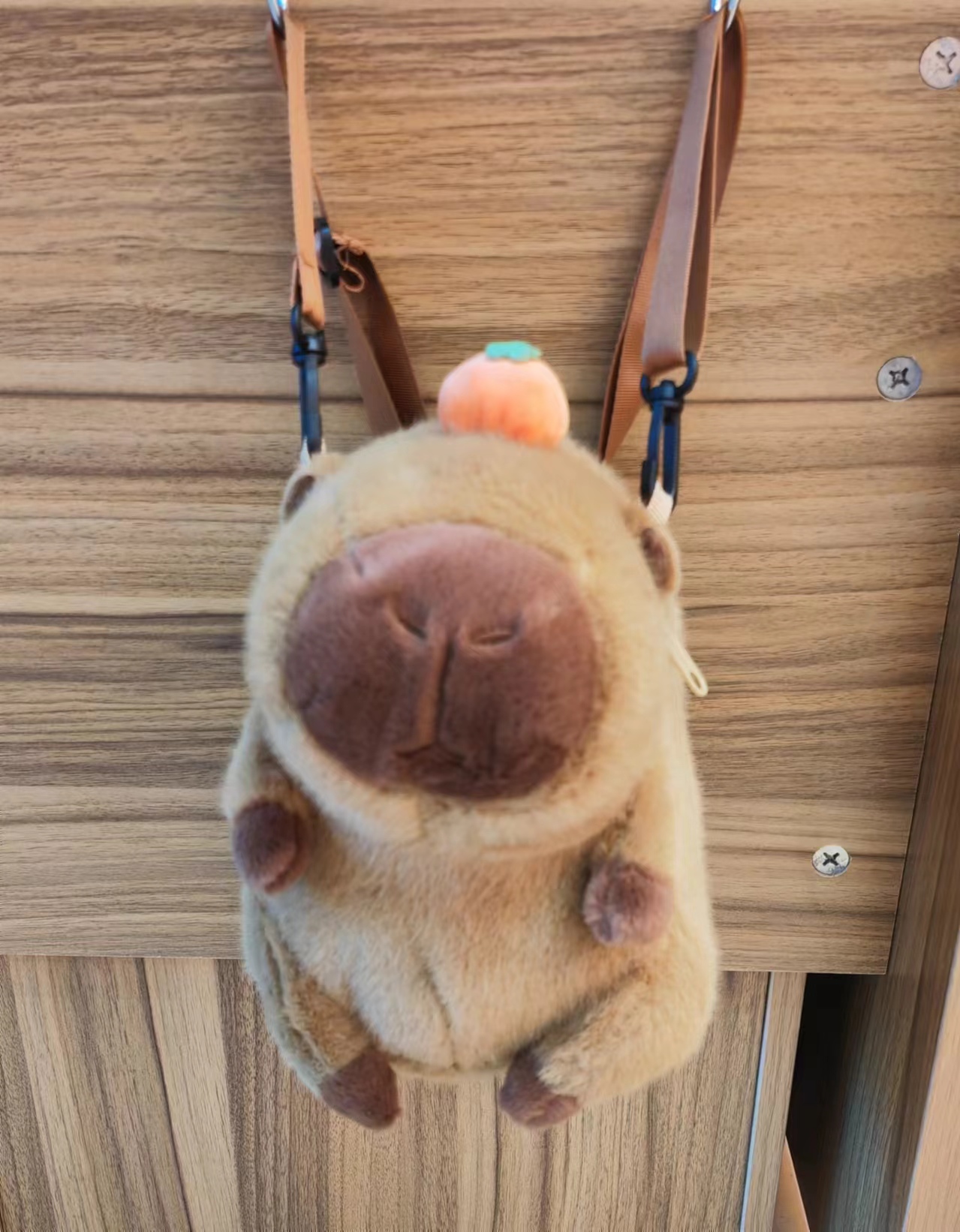 毛绒包；书包；儿童背包；小挎包；卡通背包；学生包；水豚包；卡皮巴拉详情2