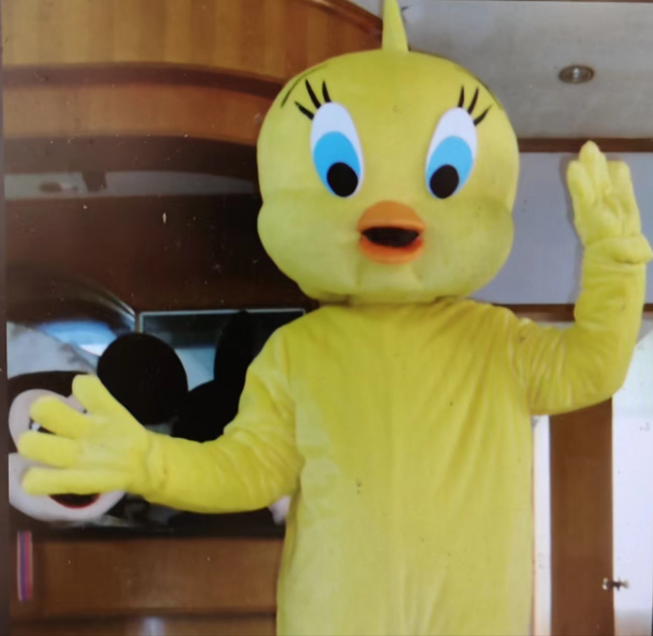 卡通服装兔八哥兔子鸭子行走人物动漫玩偶衣服公仔头套