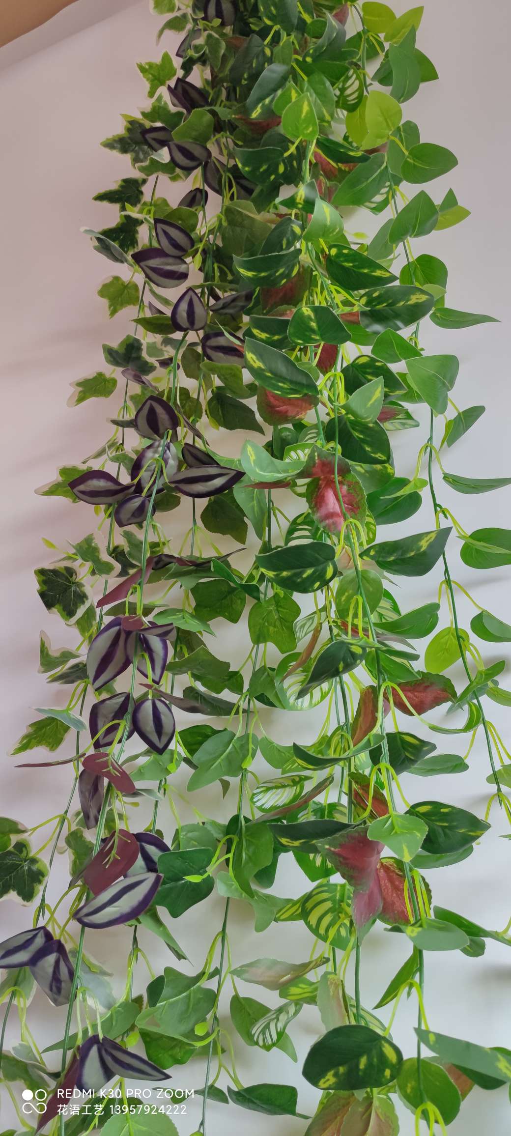 Artificial climbing plants: grape leaves, ivy, flower vines, green vines, green decorative green plants, vines, ivy details Picture
