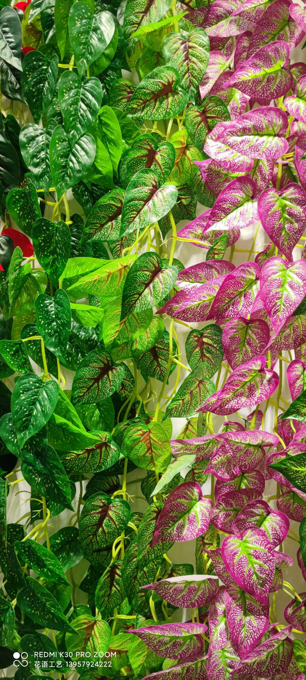 Artificial climbing plants: grape leaves, ivy, flower vines, green vines, green decorative green plants, vines, ivy detail image 6