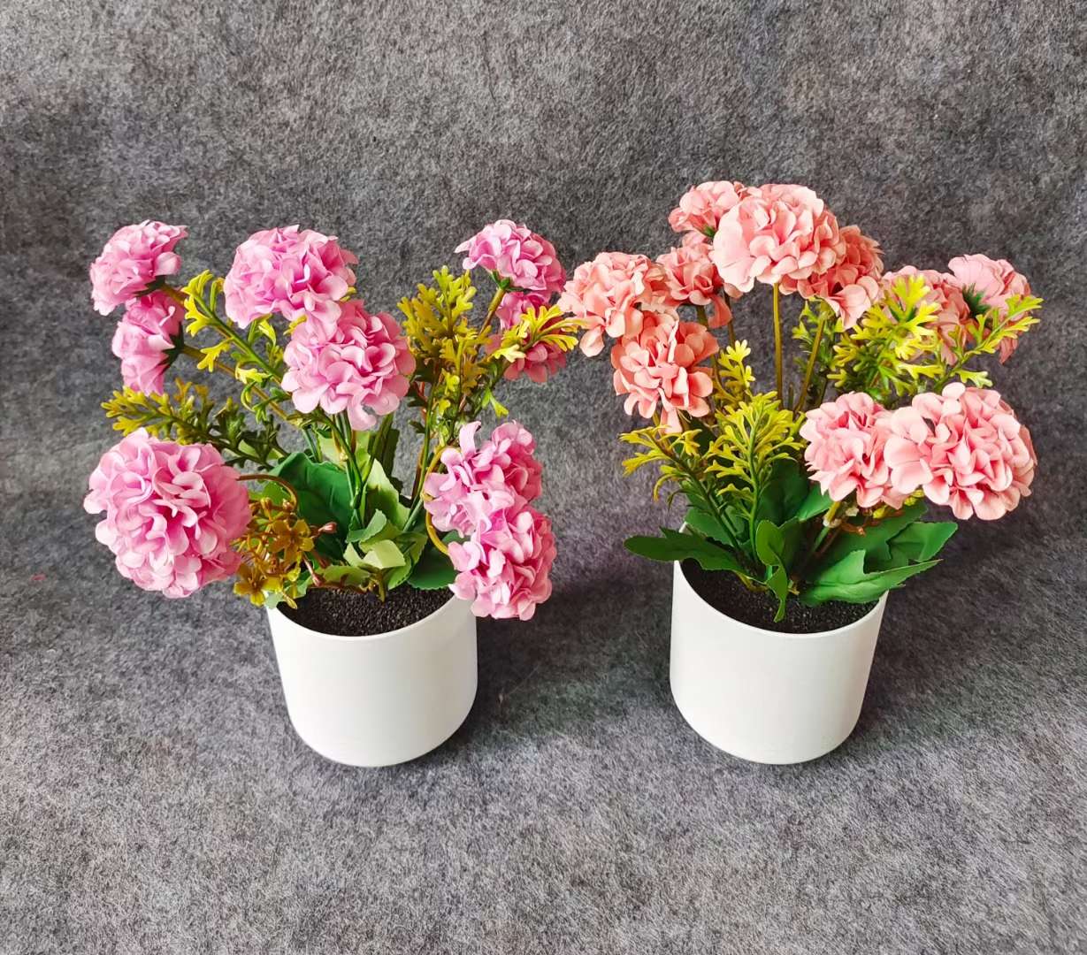 Xiangfei Mountain Camellia Pot With Bud Five-Color Chidan Flower Plant Indoor Good Cultivation Camellia Saplings Bloom All Seasons Item Picture