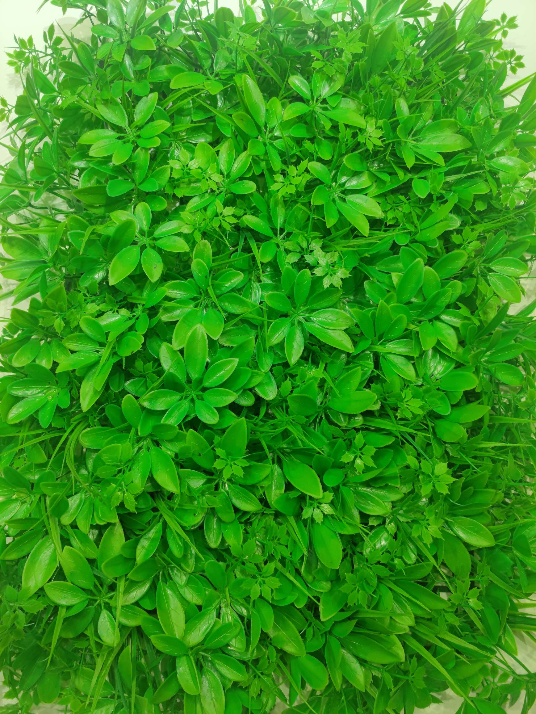 Artificial Lawn Green Wall Plastic Turf Decoration Green Lawn Flower Background Plant Wall People Fake Lawn Application Scenario
