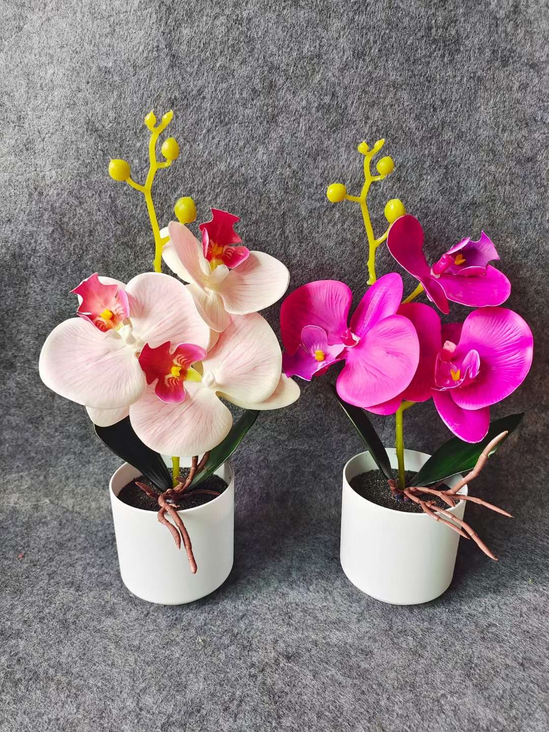 Xiangfei Mountain Camellia Pot With Bud Five-Color Chidan Flower Plant Indoor Good Cultivation Camellia Saplings Bloom All Seasons undefined