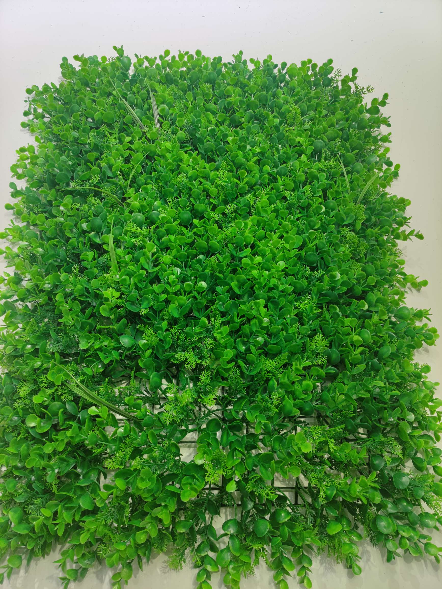 仿真植物墙户外店招防晒人造塑料假草坪绿植墙 仿真植物花墙 