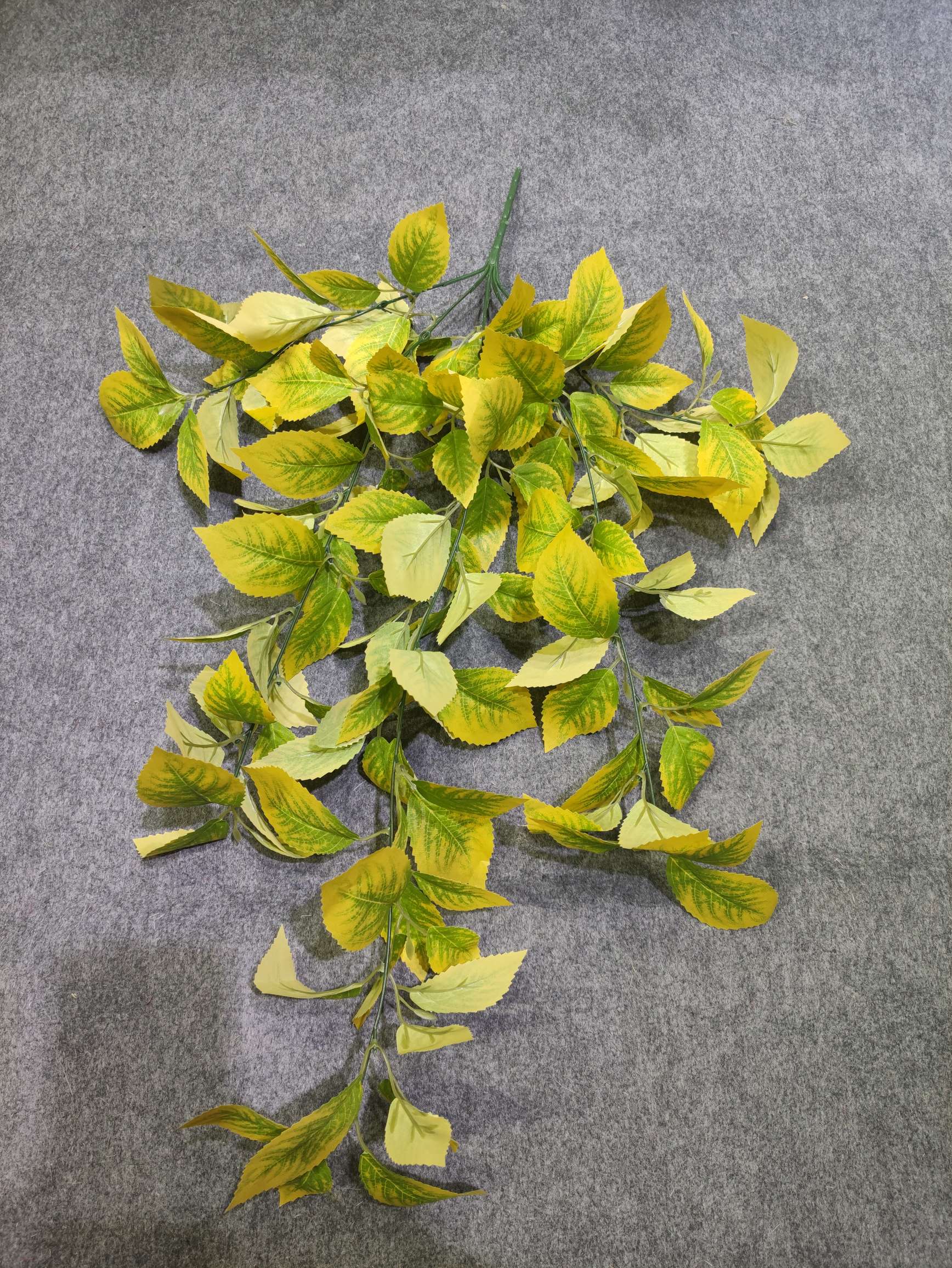 Simulation Eucalyptus Leaves Wedding Flower Decoration Hotel Living Room Flower Arrangement Money Leaves With Leaves Landscaping Green Plant Manufacturers details Picture