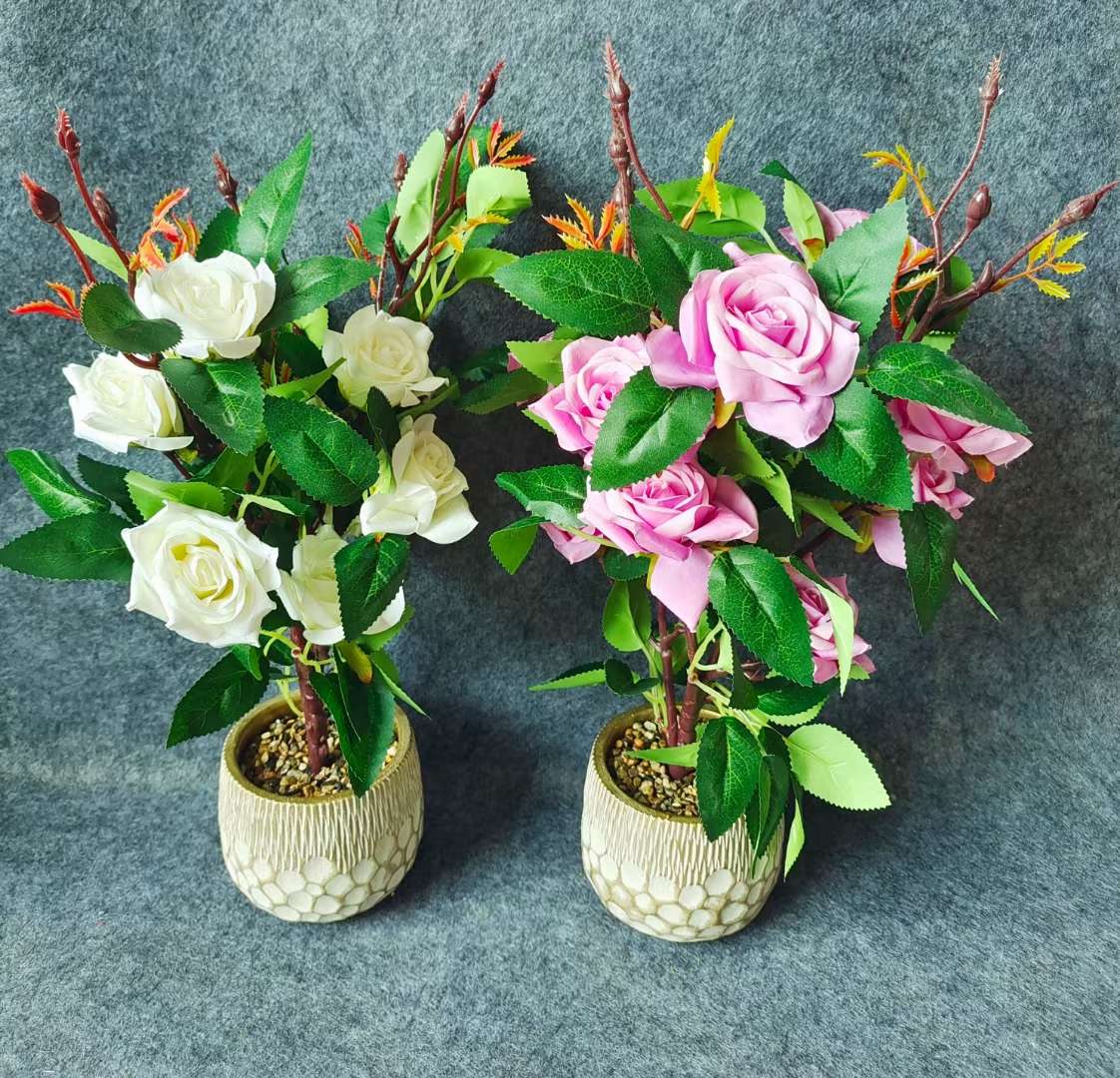 Xiangfei Mountain Camellia Pot With Bud Five-Color Chidan Flower Plant Indoor Good Cultivation Camellia Saplings Bloom All Seasons undefined