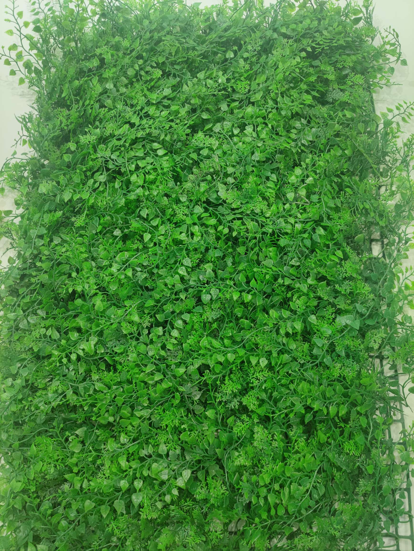 Artificial Lawn Green Wall Plastic Turf Decoration Green Lawn Flower Background Plant Wall People Fake Lawn undefined