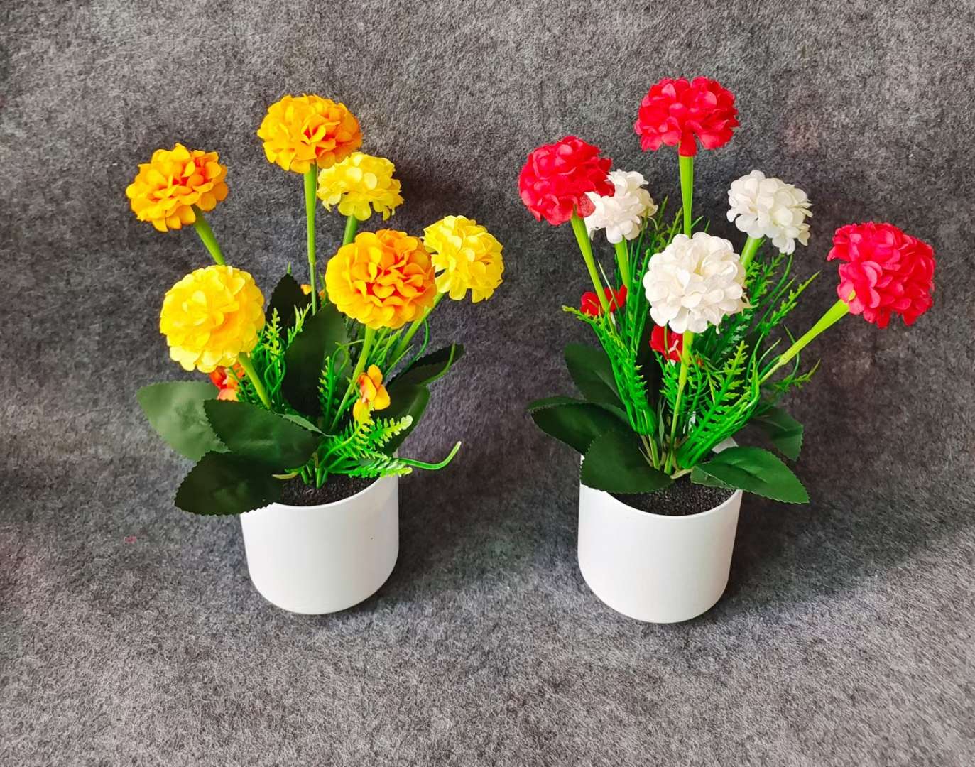 Xiangfei Mountain Camellia Pot With Bud Five-Color Chidan Flower Plant Indoor Good Cultivation Camellia Saplings Bloom All Seasons undefined