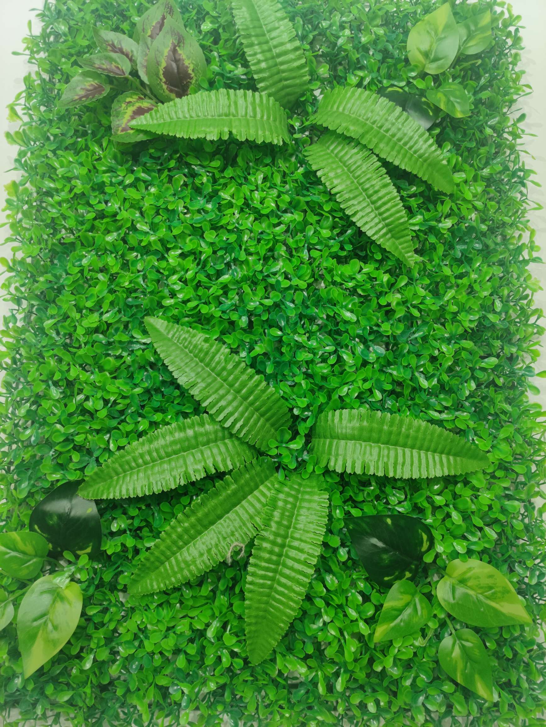 Artificial Lawn Green Wall Plastic Turf Decoration Green Lawn Flower Background Plant Wall People Fake Lawn undefined