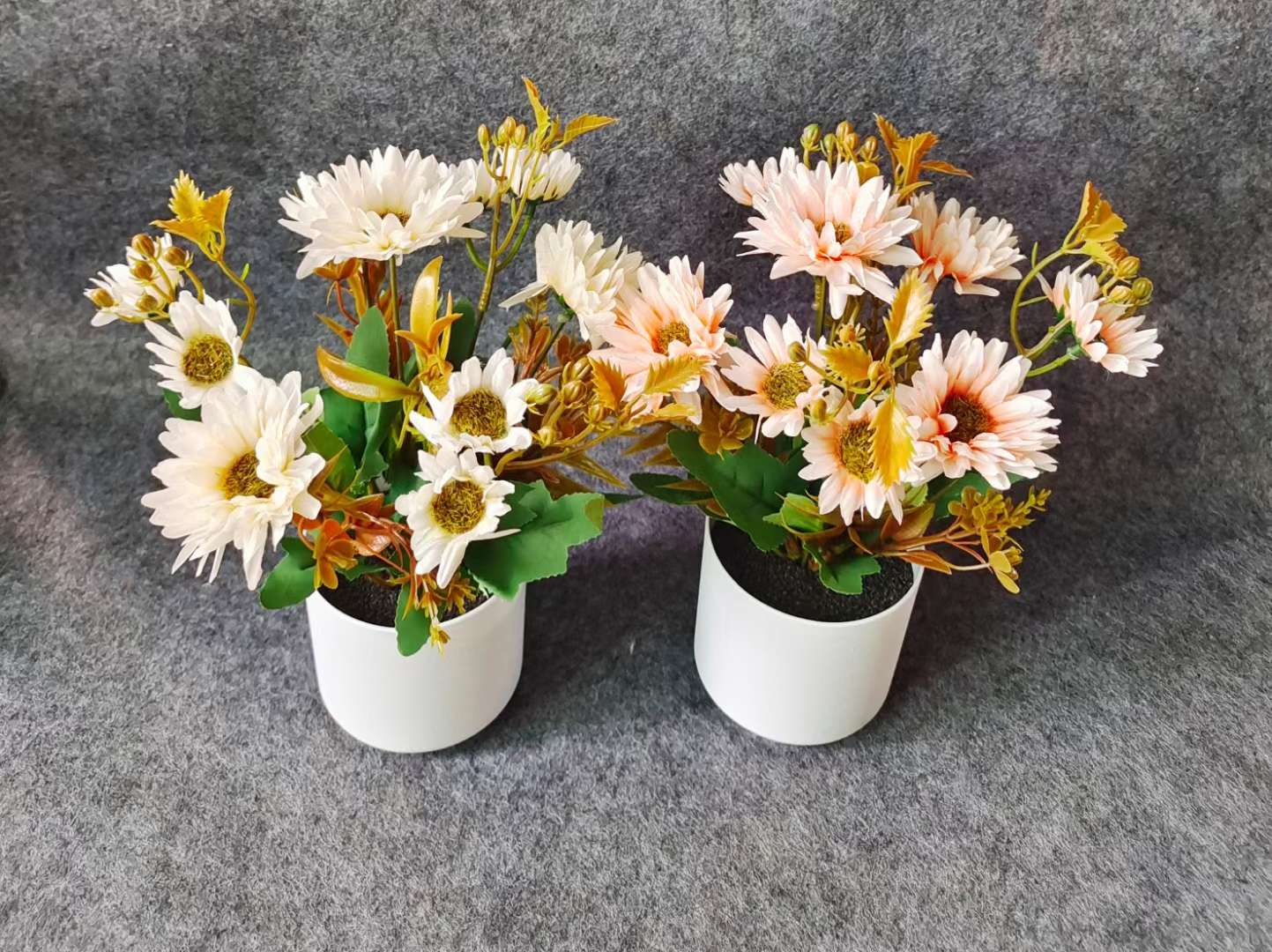 Xiangfei Mountain Camellia Pot With Bud Five-Color Chidan Flower Plant Indoor Good Cultivation Camellia Saplings Bloom All Seasons Specification drawing