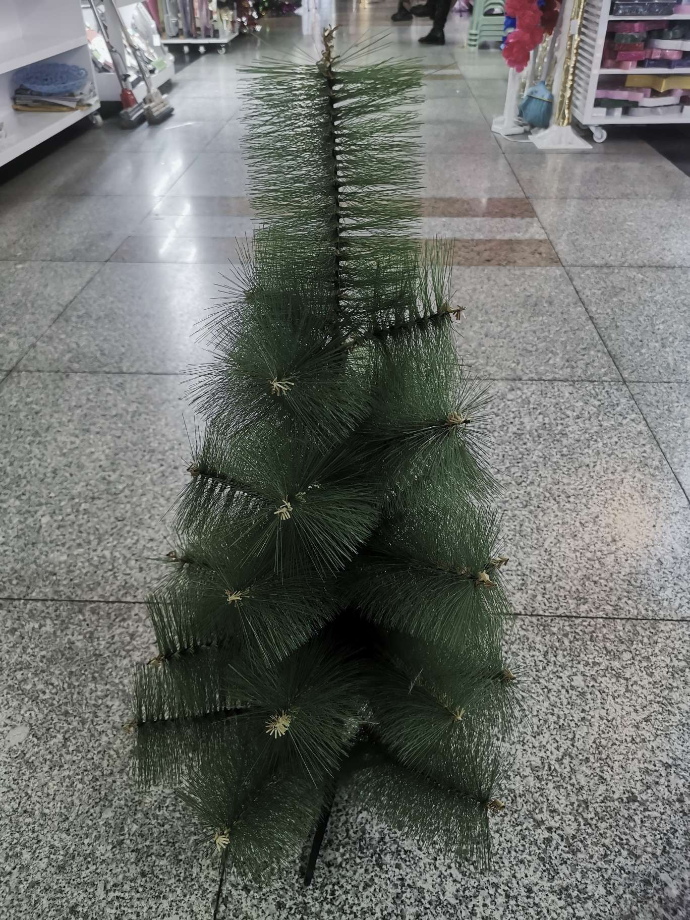 普通松针树圣诞树圣诞树