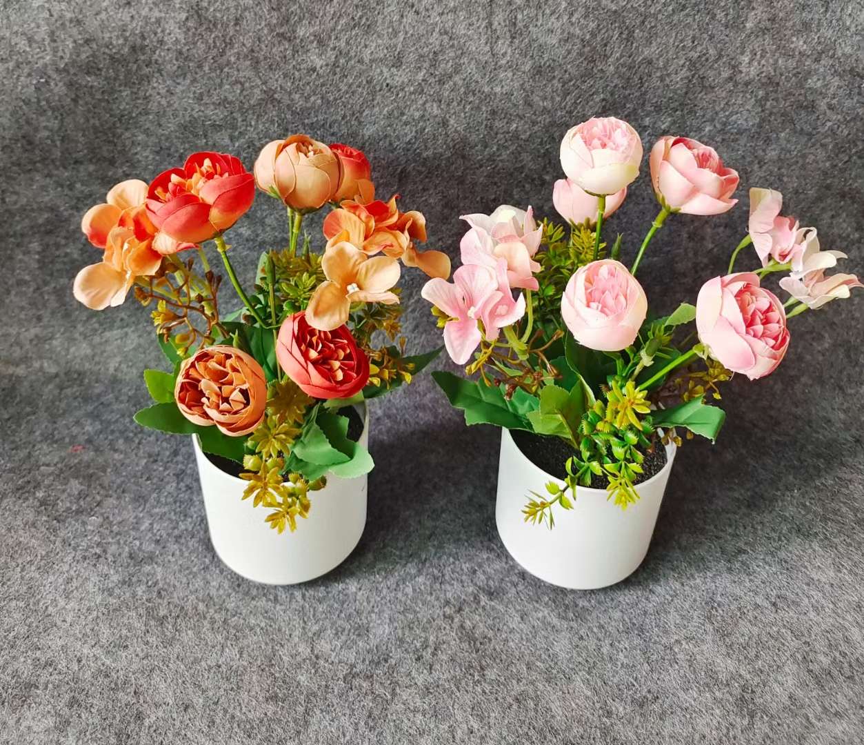 Xiangfei Mountain Camellia Pot With Bud Five-Color Chidan Flower Plant Indoor Good Cultivation Camellia Saplings Bloom All Seasons details Picture