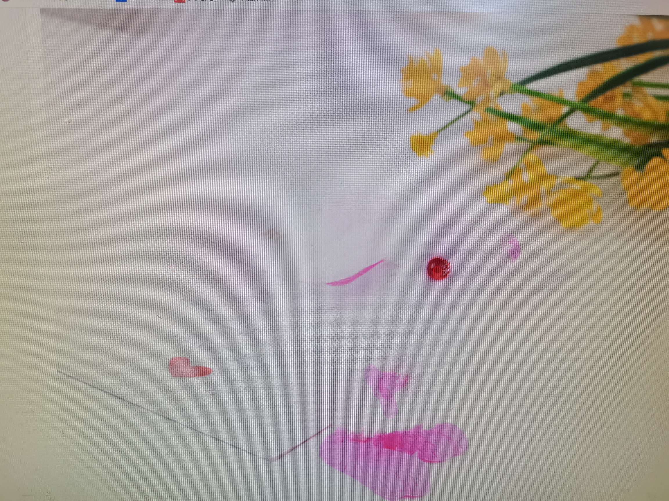 上链毛绒发条小鸡小兔经典怀旧玩具地摊热卖厂家直销益智玩具小礼物详情图6