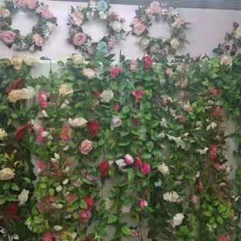 test1235 Flowers 2 test1235 Flowers 2