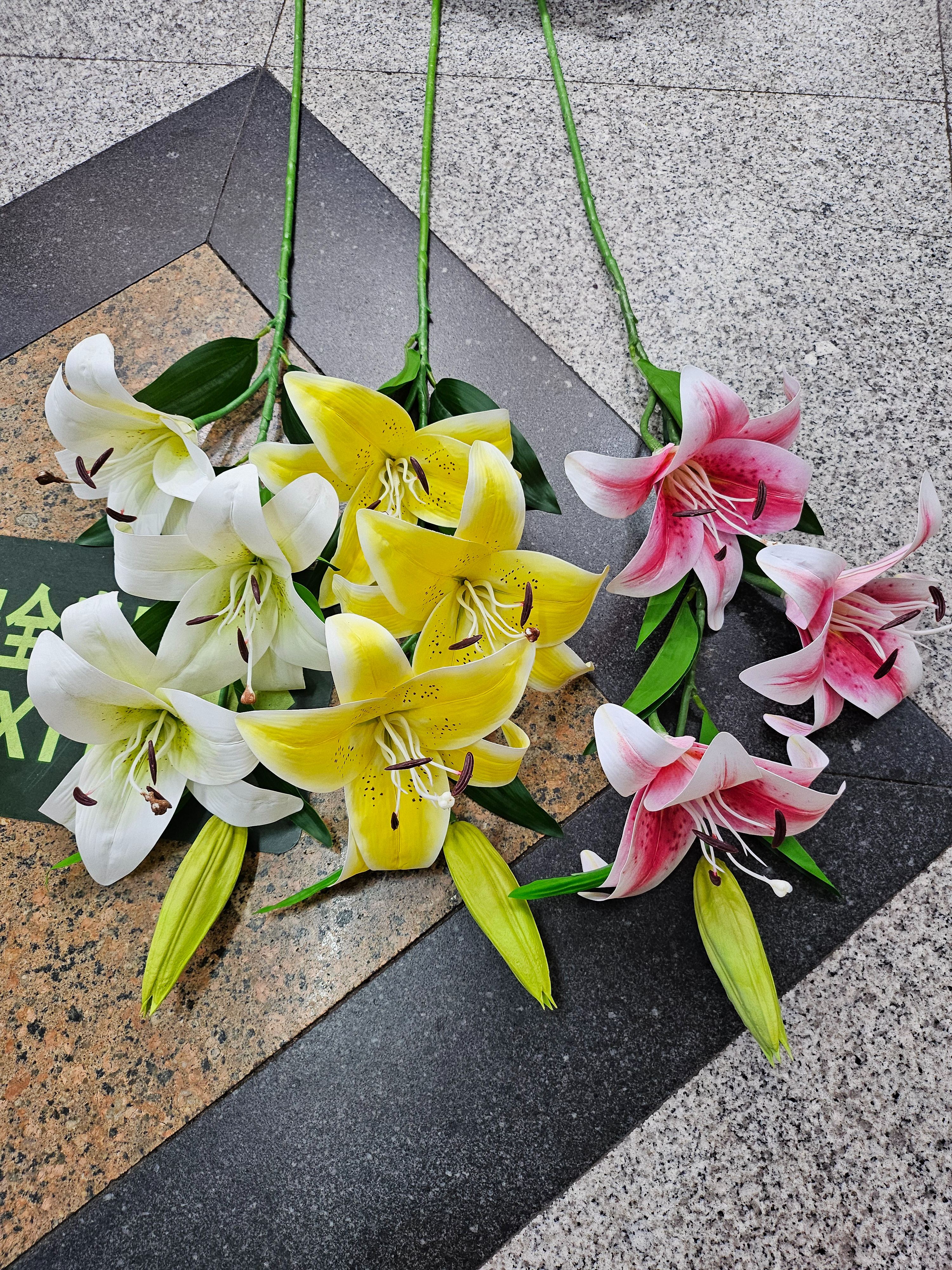 单支三头大百合详情1