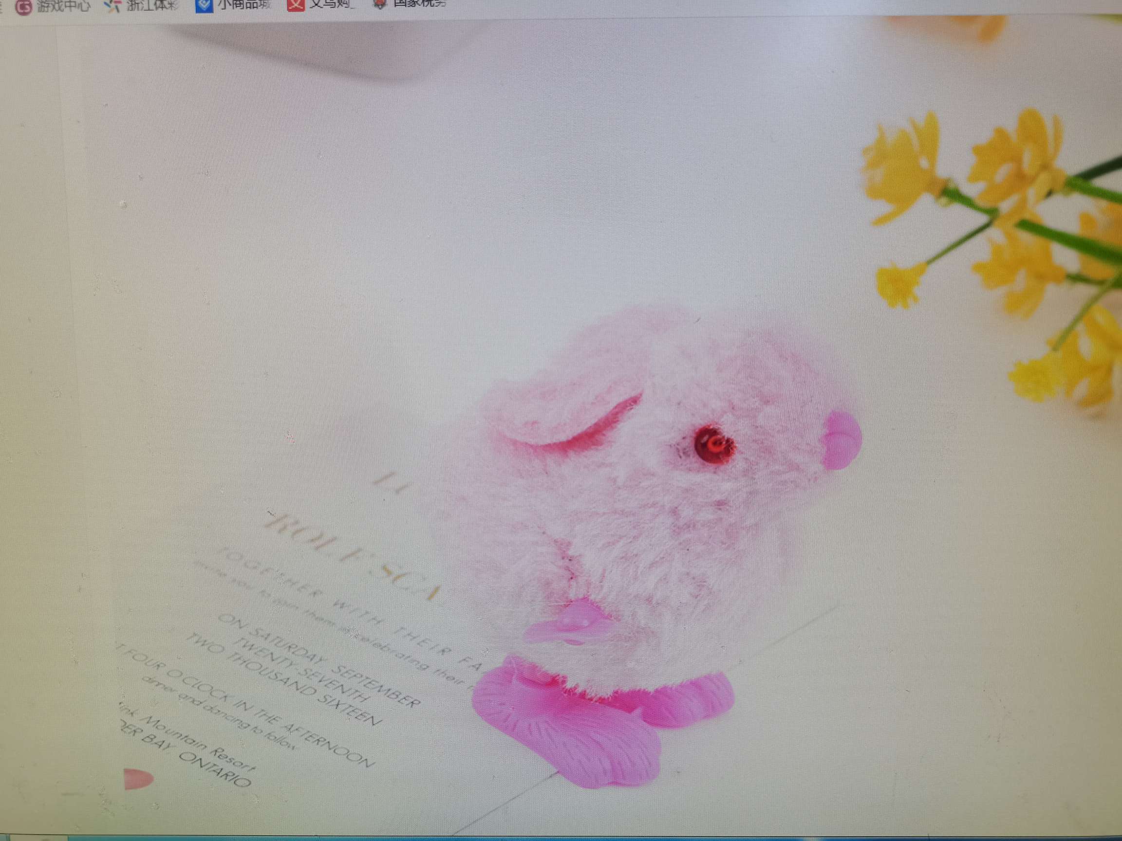 上链毛绒发条小鸡小兔经典怀旧玩具地摊热卖厂家直销益智玩具小礼物详情图5